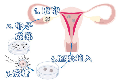 周主任